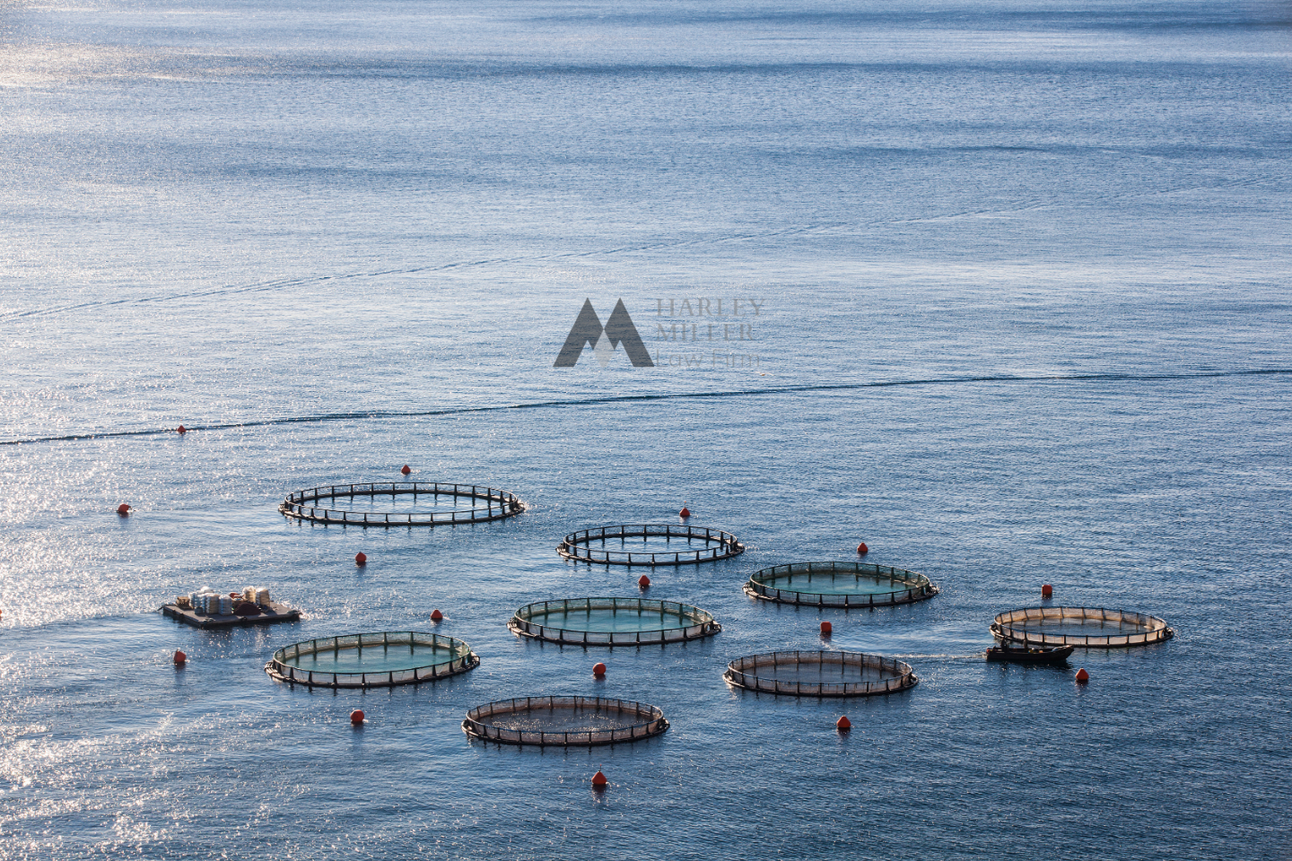 Vietnam's seafood industry has been developing continuously for the past 20 years and with foreign investment inflows, the seafood industry promises to continue to grow.