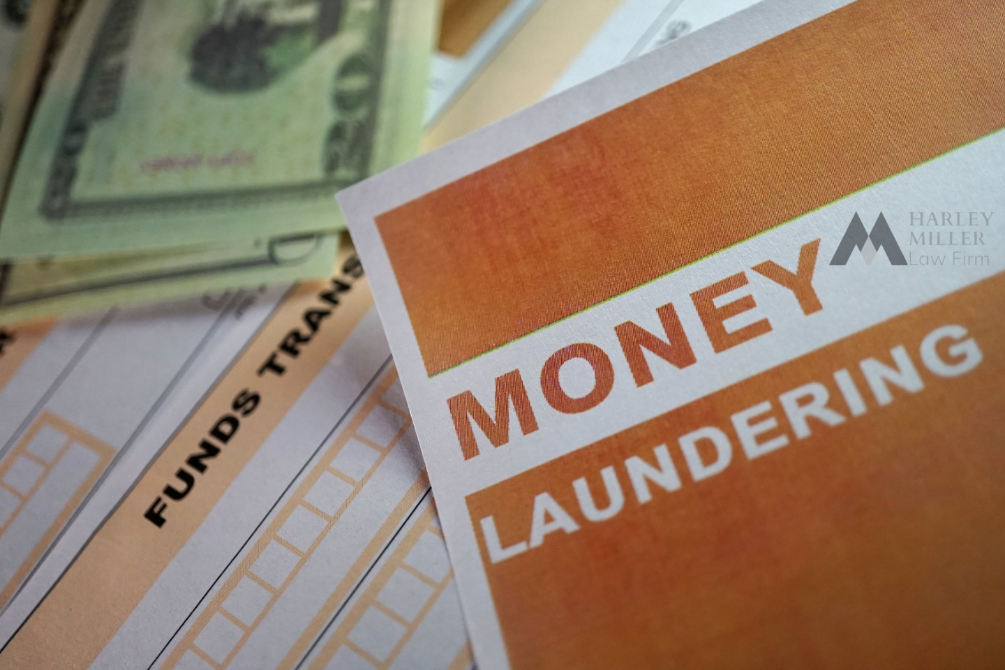 Given favorable conditions for money laundering, such as a cash-based economy, rapid technological advancements, and legislative inadequacies in a fast-growing economy and society